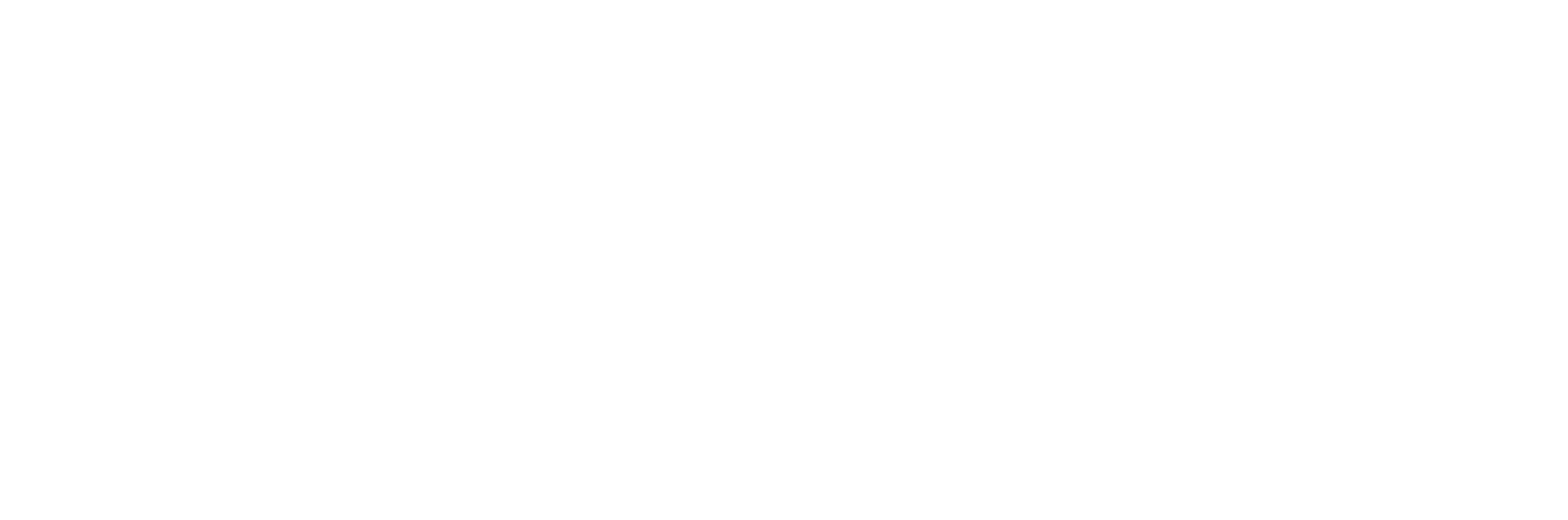 Flare Dijital